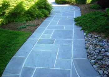 Patios 5
